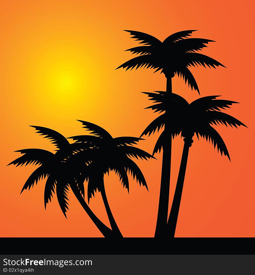 Illustration of some palm trees. Illustration of some palm trees