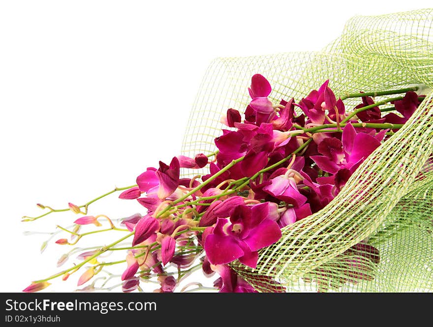 Orchid bouquet on a white background, is isolated. Orchid bouquet on a white background, is isolated.