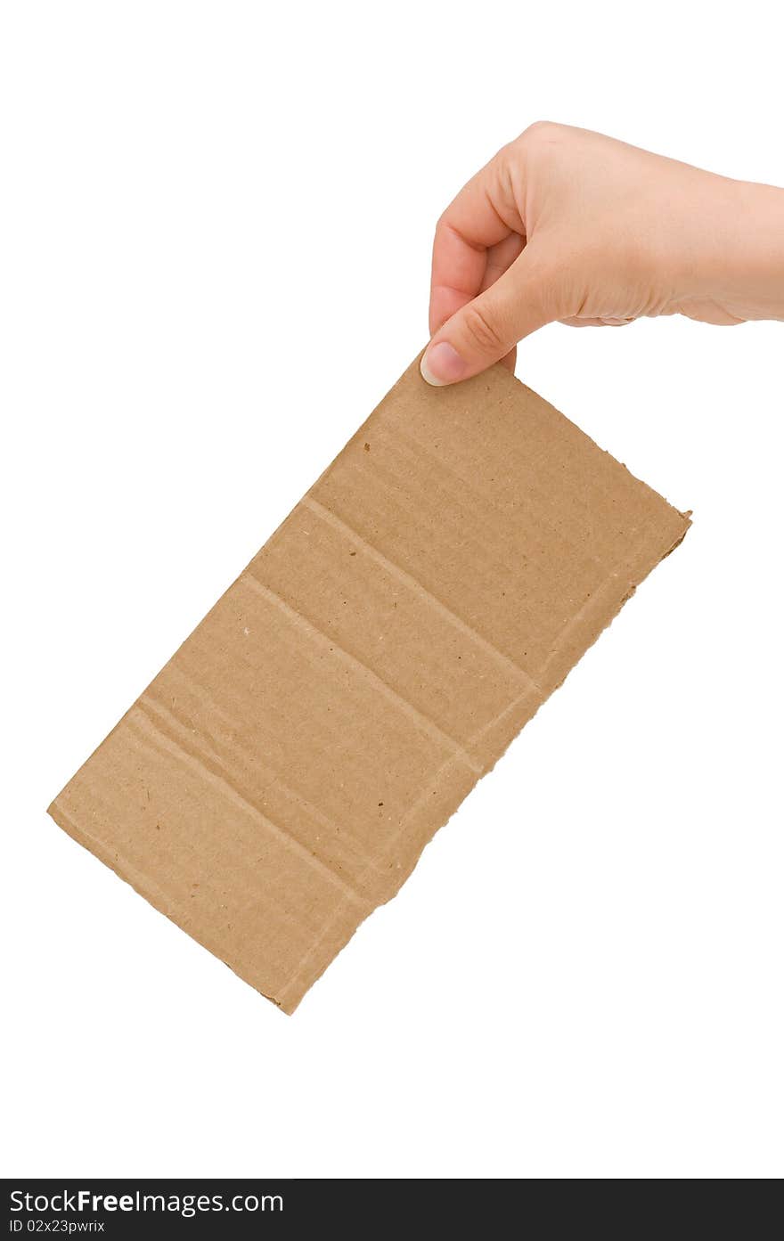 The Cardboard Tablet In A Hand