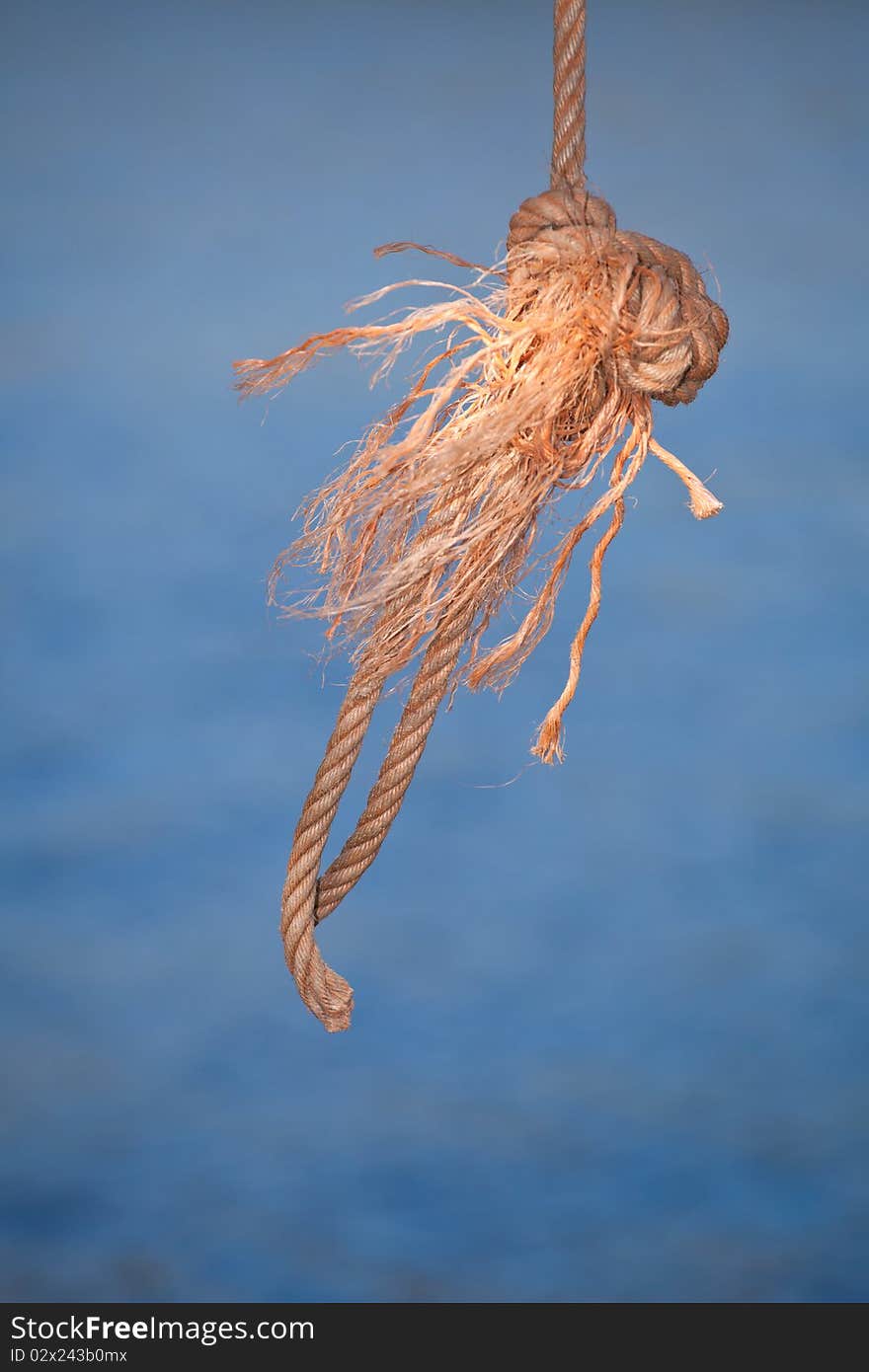 Hanging rope knot on blue background. Hanging rope knot on blue background