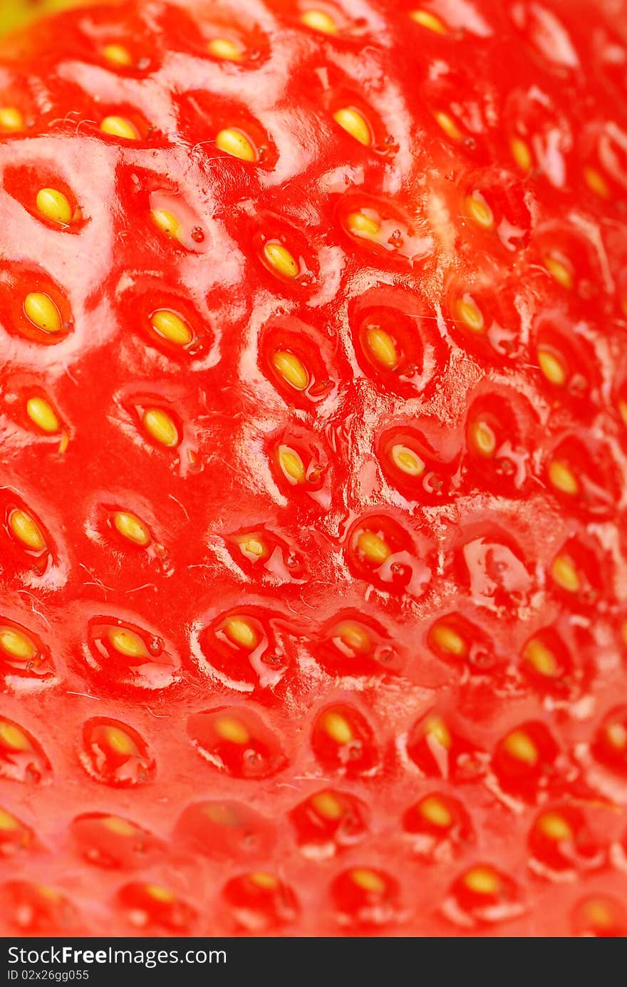 Fresh strawberry close-up shot