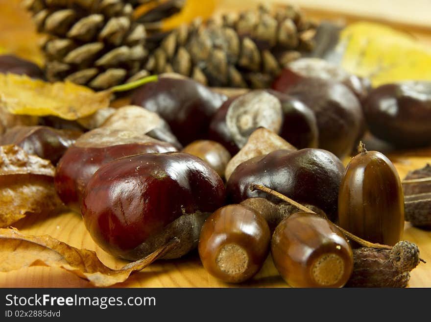 An autumn background created of leaves, cones, chestnuts and acorns. An autumn background created of leaves, cones, chestnuts and acorns