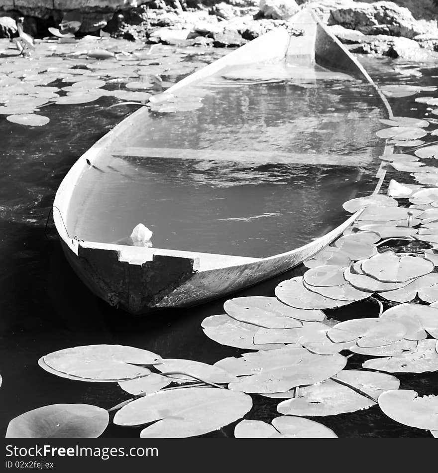 The sunk wooden boat among water leaves