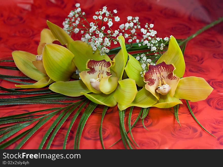 Beautiful bouquet of orchids on a red background