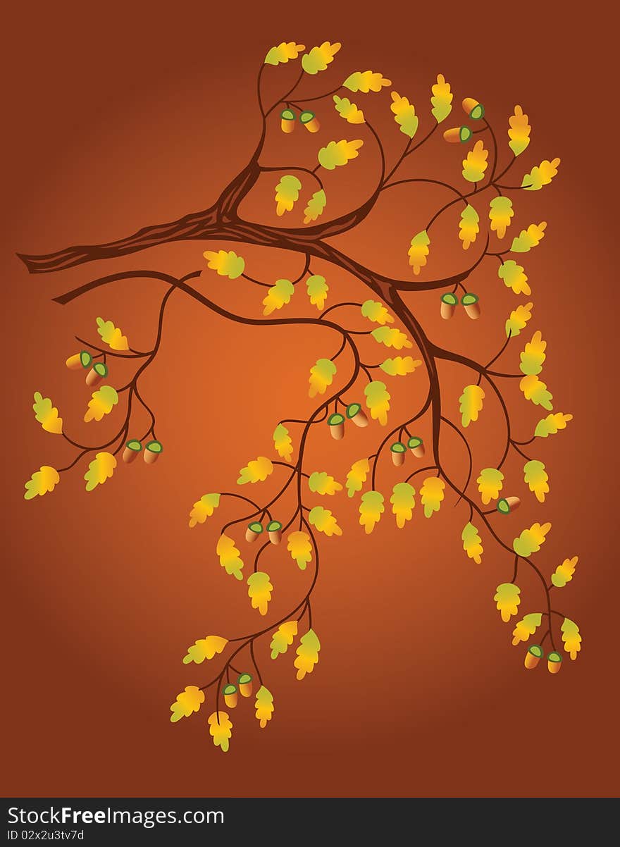 Autumn background with oak branch, leaves and acorns. Autumn background with oak branch, leaves and acorns