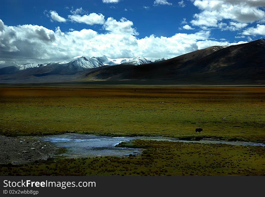 Grassland and river