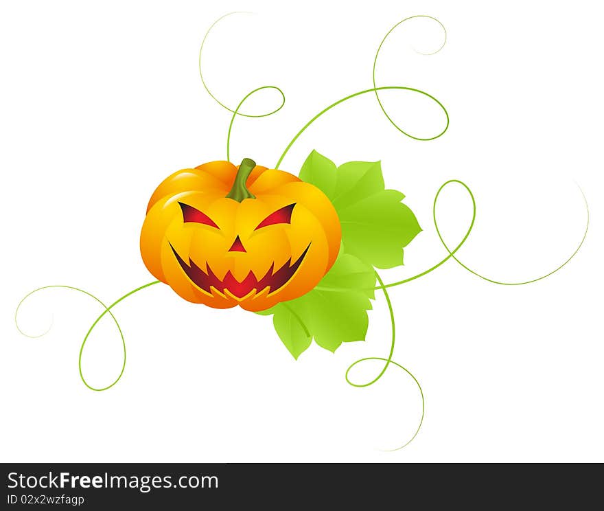 Pumpkins with leaves and a terrible physiognomy. Decoration for halloween. Vector illustration, isolated on a white. Pumpkins with leaves and a terrible physiognomy. Decoration for halloween. Vector illustration, isolated on a white.