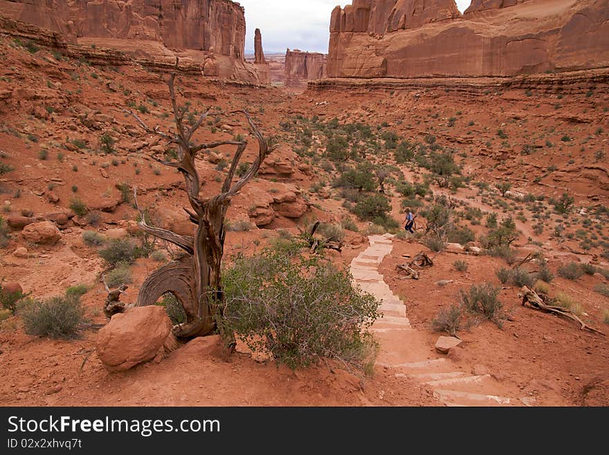 Park Avenue Trail, a 1-mile trail that follows the bottom of a canyon at the feet of the gigantic monoliths of Arches National Park. Park Avenue Trail, a 1-mile trail that follows the bottom of a canyon at the feet of the gigantic monoliths of Arches National Park.