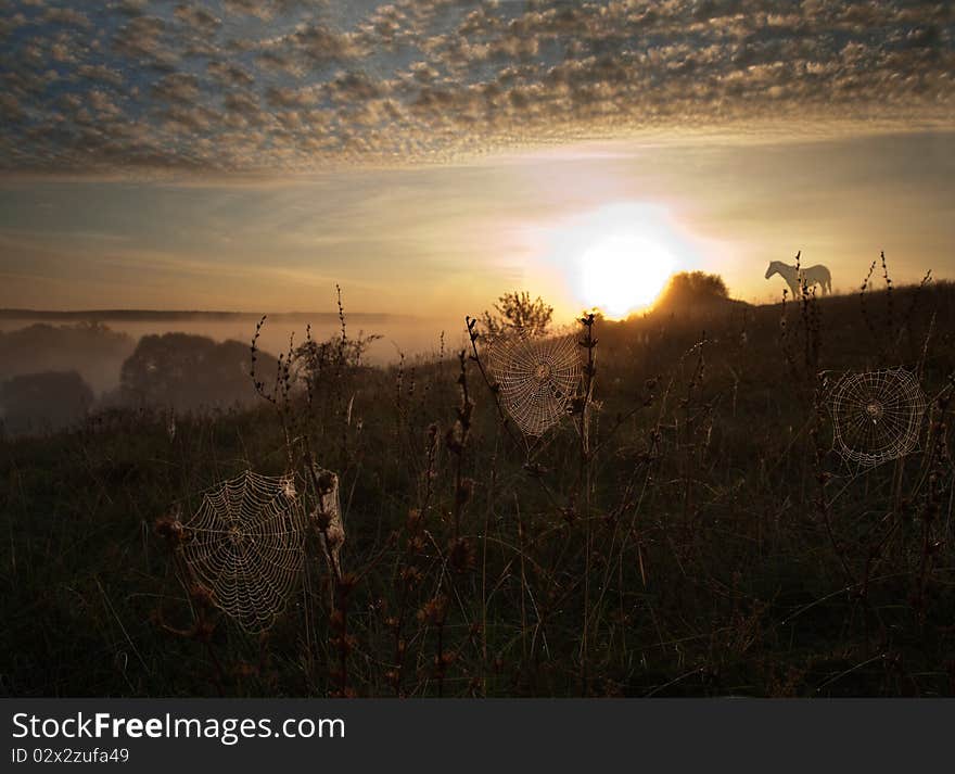 Beautiful landscape of a decline with webs