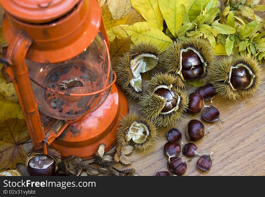 Still life with an old orange Kerosene lamp with Spanish chestnuts, autumn leaves and maple leaves, beechnuts and chestnuts. Everything is decorated on a wood table. Still life with an old orange Kerosene lamp with Spanish chestnuts, autumn leaves and maple leaves, beechnuts and chestnuts. Everything is decorated on a wood table.