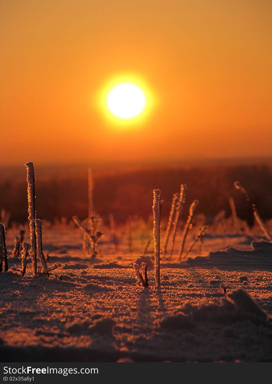 Snow on sunset background