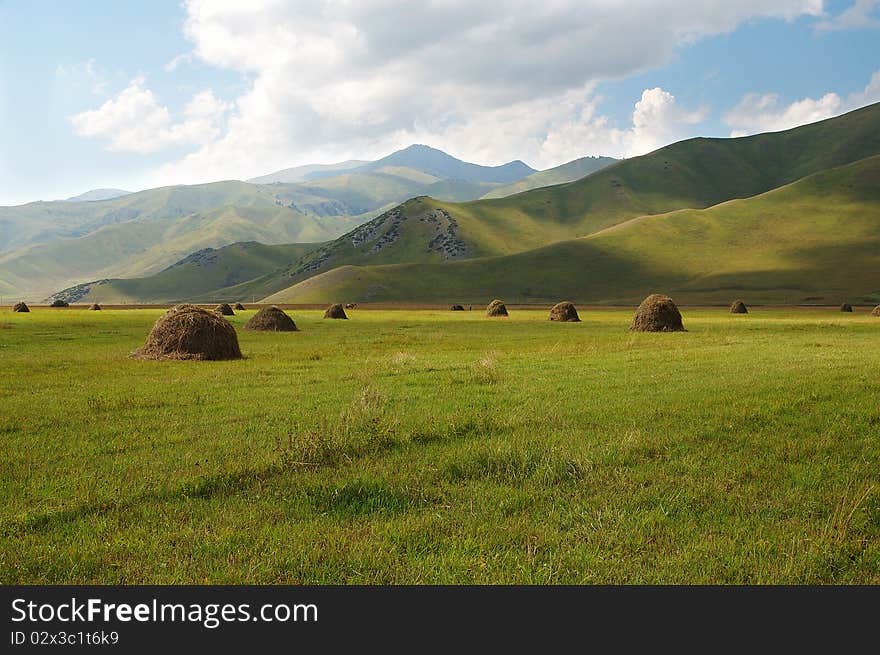 Hay on a green field