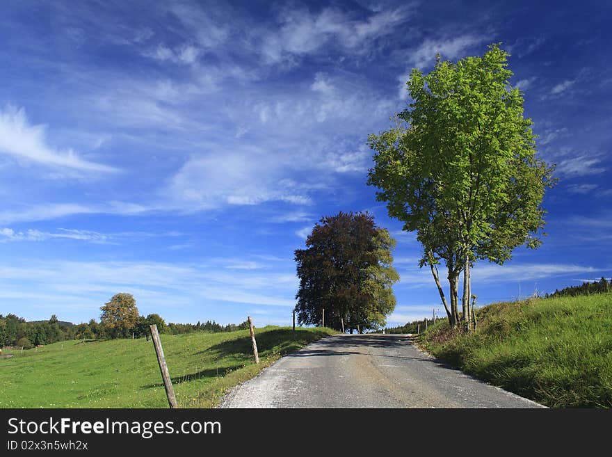 Road with colorful trees in a meadow, german. Road with colorful trees in a meadow, german