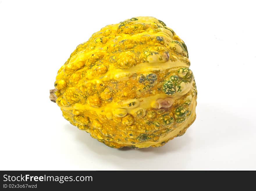 Eastern yellow squash