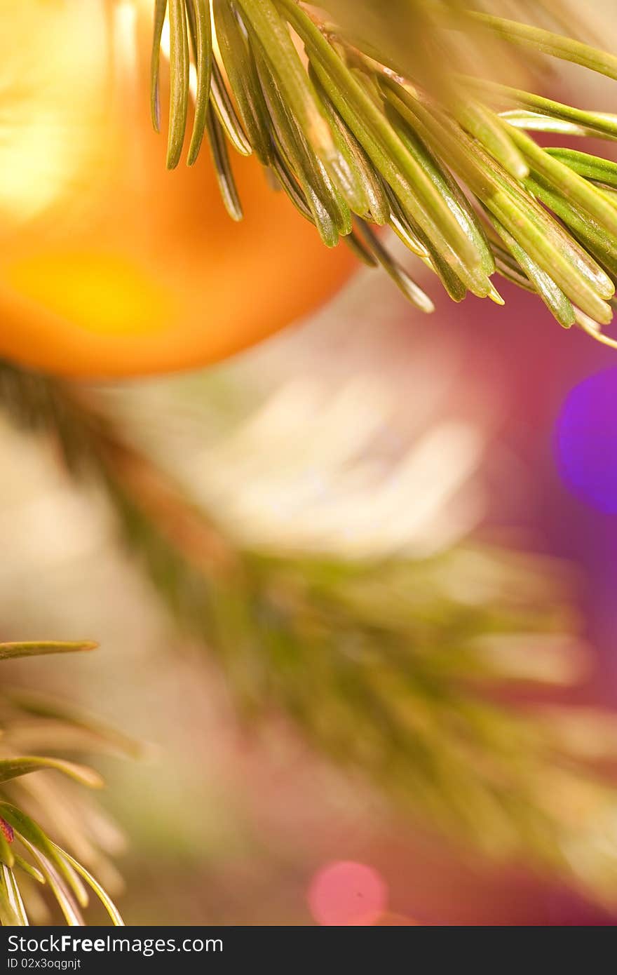 The golden christmas ball hangs on a pine branch