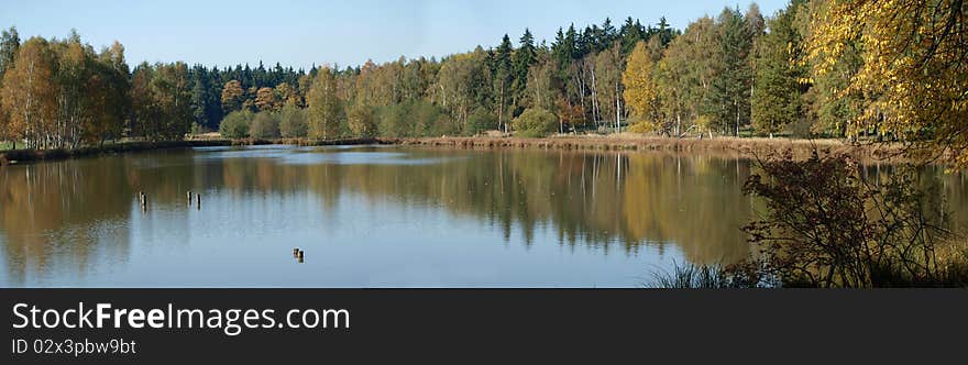 Pond in the forest