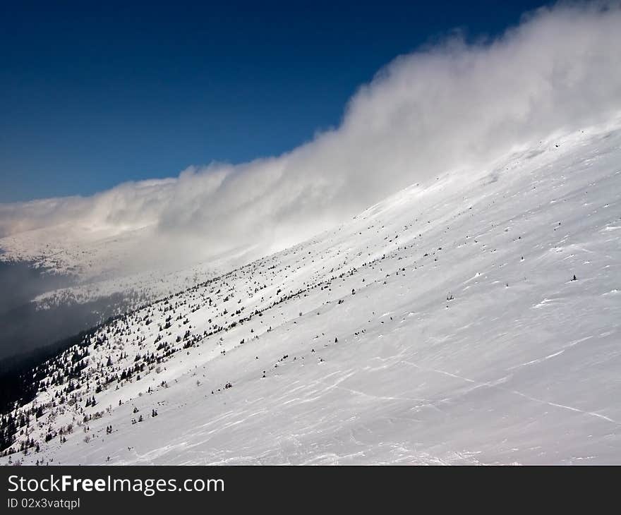 Winter in Carpathian mountains