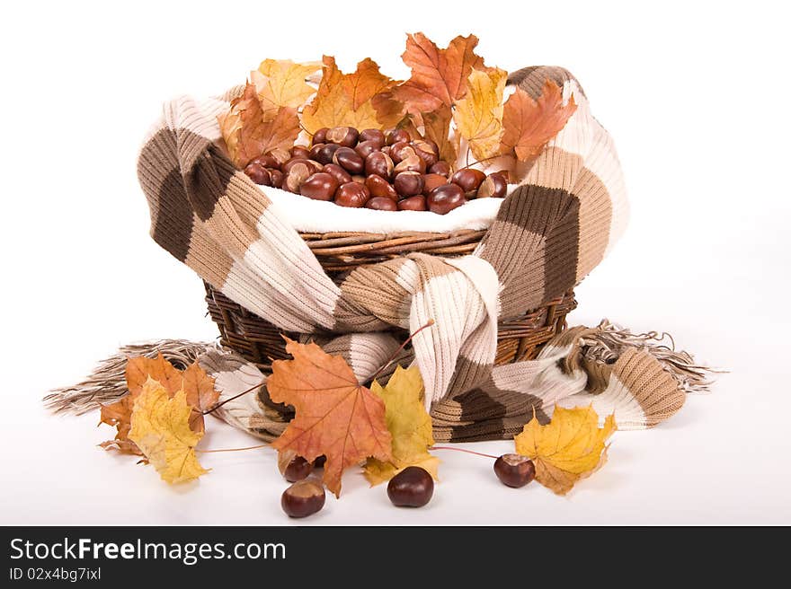 Beautiful autumn in studio with leafs and chestnuts