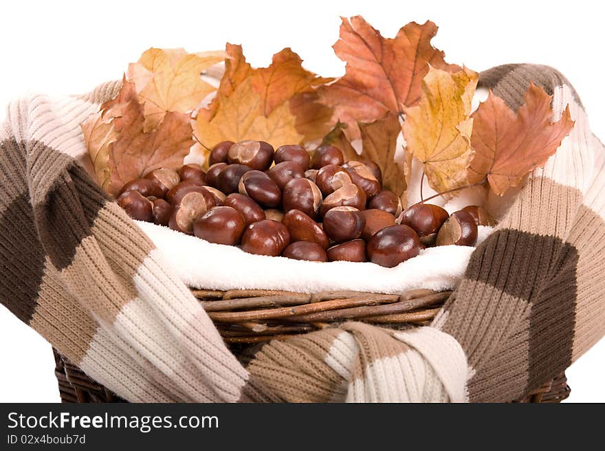 Beautiful autumn in studio with leafs and chestnuts