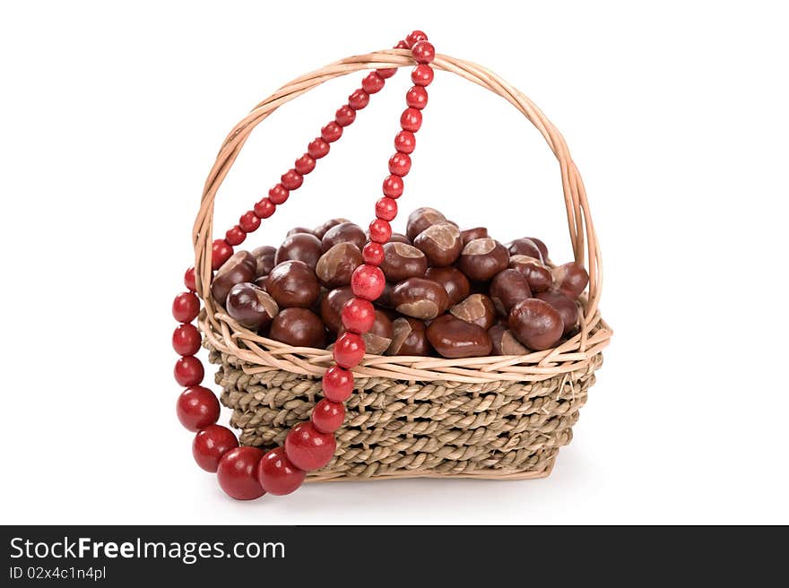 Beautiful autumn in studio with leafs and chestnuts