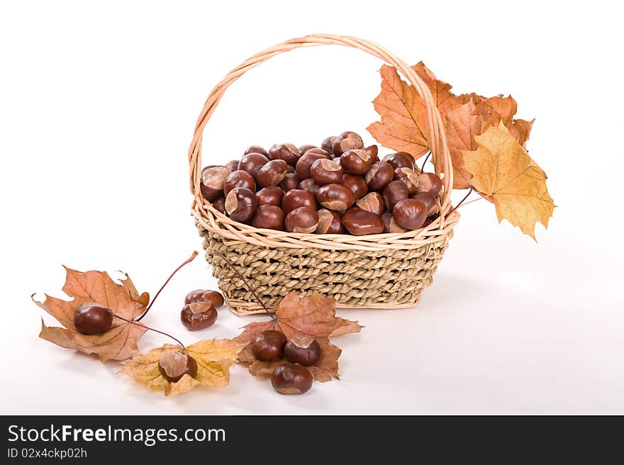 Beautiful autumn in studio with leafs and chestnuts