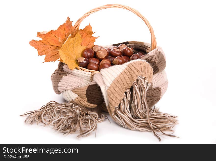 Beautiful autumn in studio with leafs and chestnuts