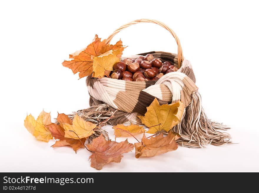 Beautiful autumn in studio with leafs and chestnuts