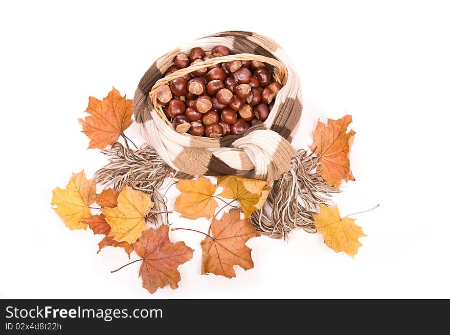 Beautiful autumn in studio with leafs and chestnuts