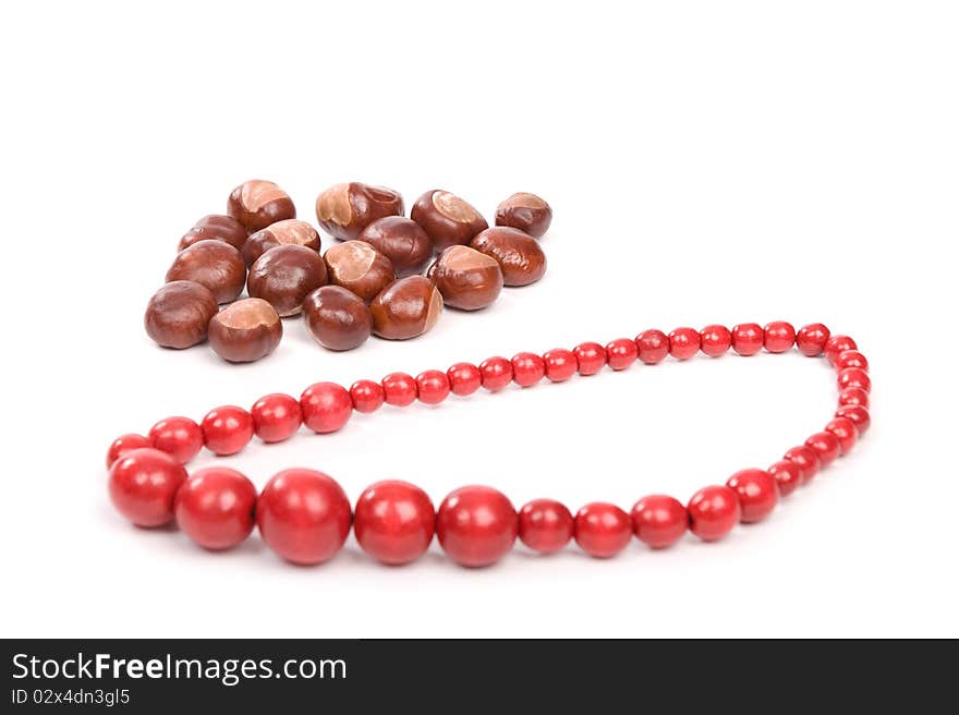 Beautiful autumn in studio with leafs and chestnuts