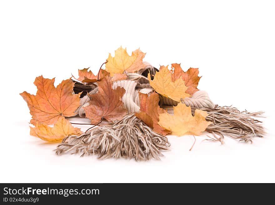 Beautiful autumn in studio with leafs and chestnuts