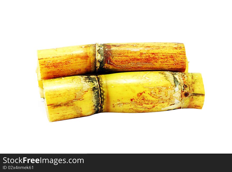 Sugar Cane