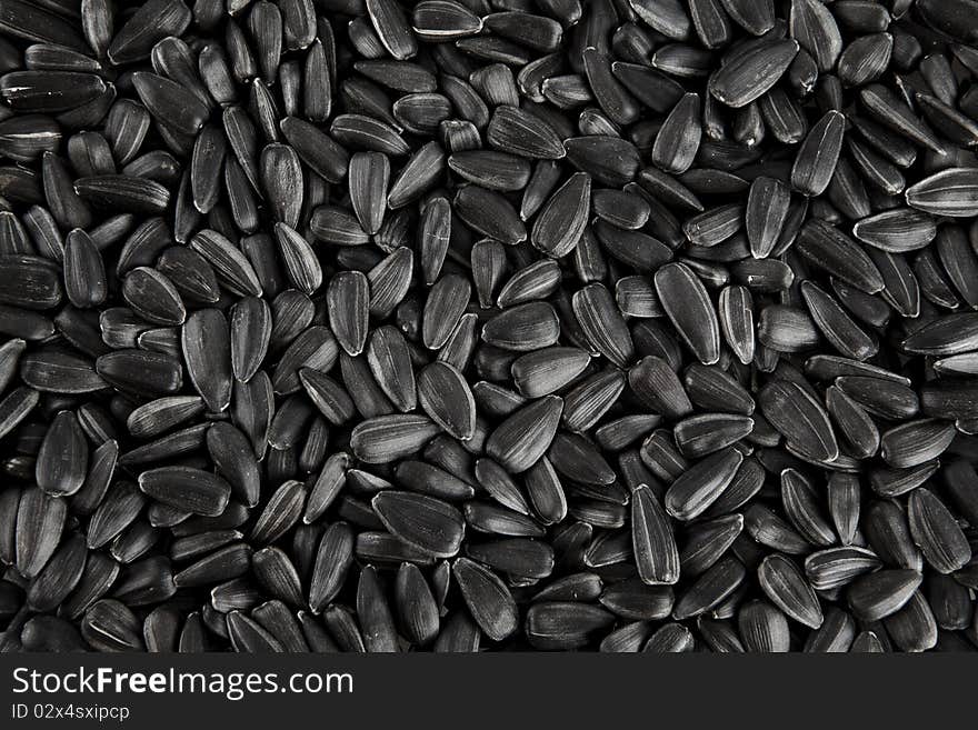 Sunflower seeds background. Close-up studio shot.