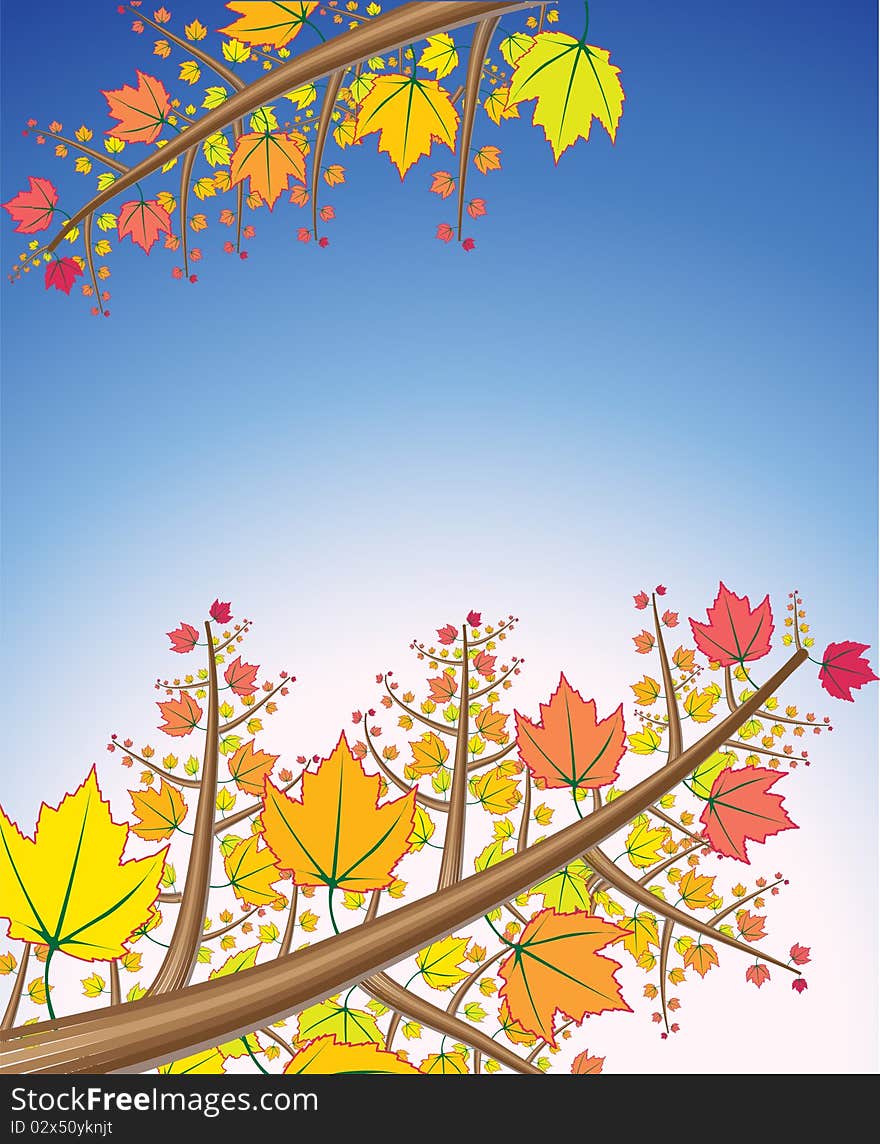 vector decorative illustration for graphic design. vector decorative illustration for graphic design