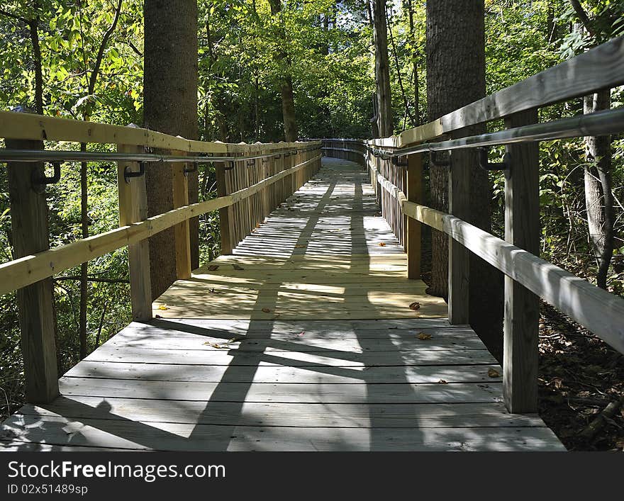 Boardwalk In The Woods