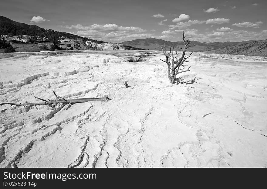 Terraces Mammoth hot spring yellow stone national park. Terraces Mammoth hot spring yellow stone national park