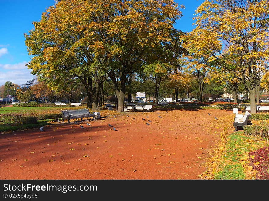 Tranquil park