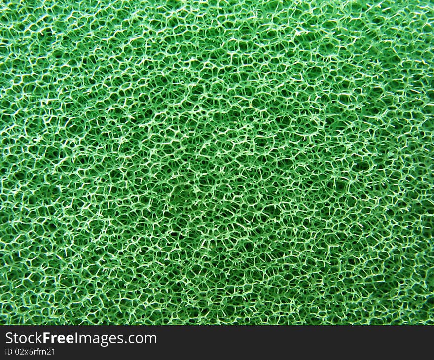 Close up of green sponge texture