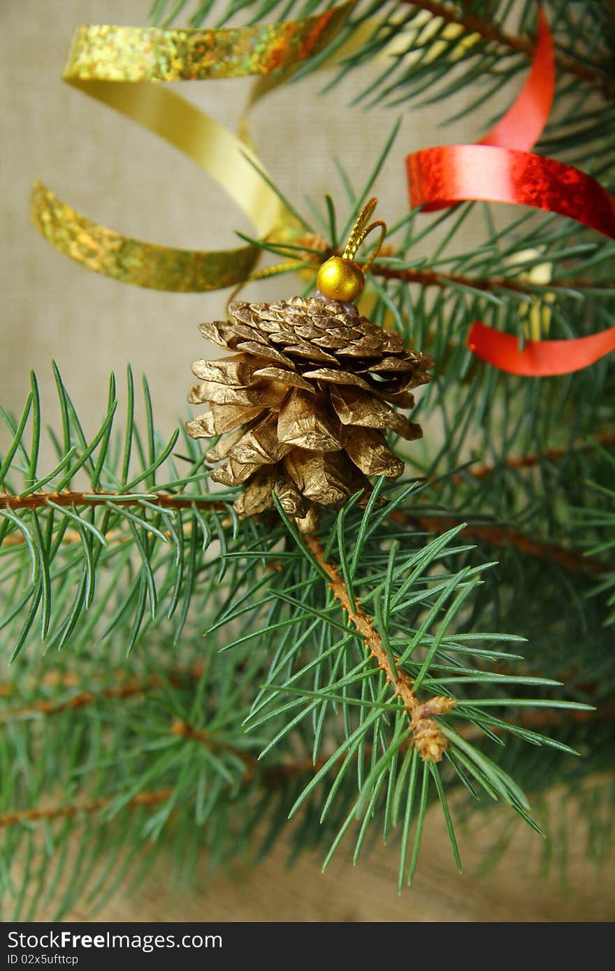 Green branches of trees with Christmas decorations. Green branches of trees with Christmas decorations