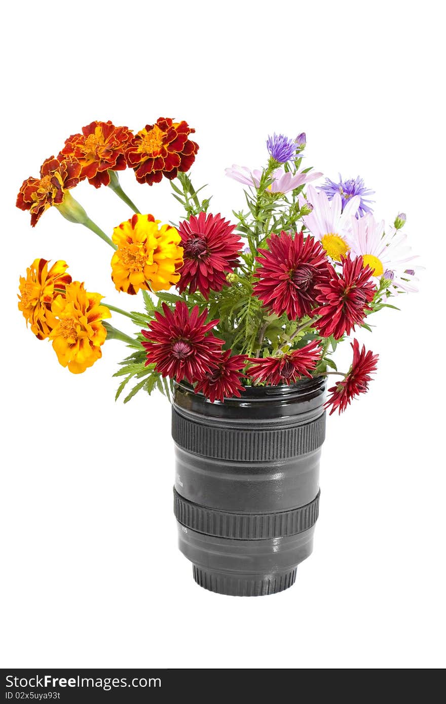 Bouquet of Flowers in the lens, isolated on a white background