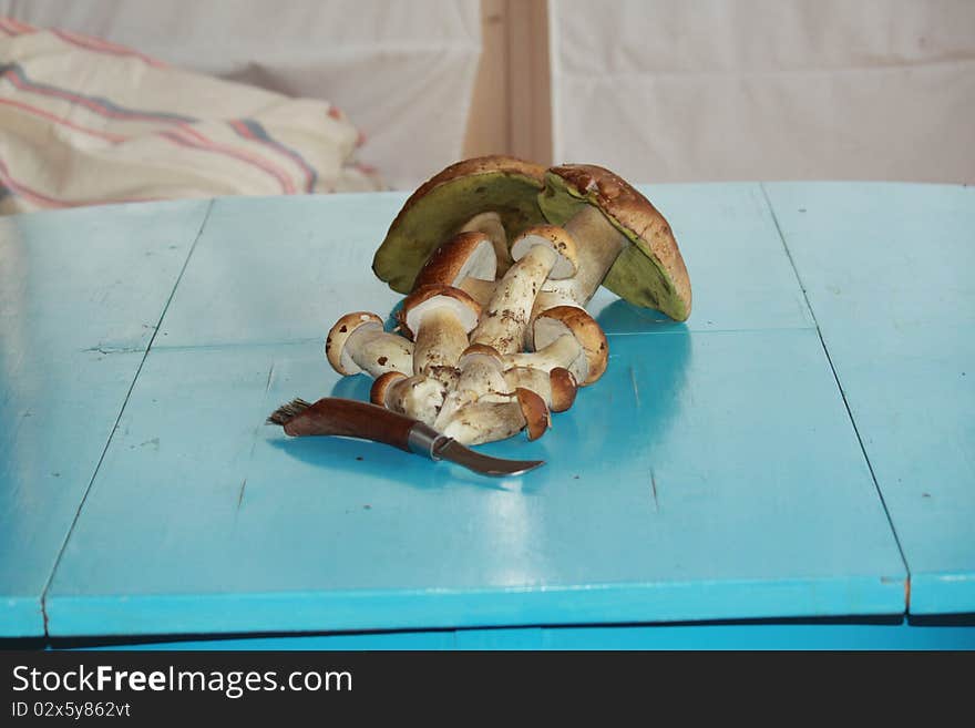 Delicatessen russian white mushrooms on the table