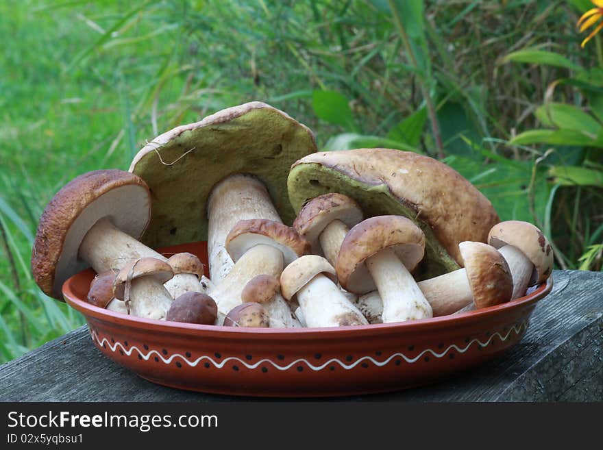 Delicatessen russian white mushrooms on the dish