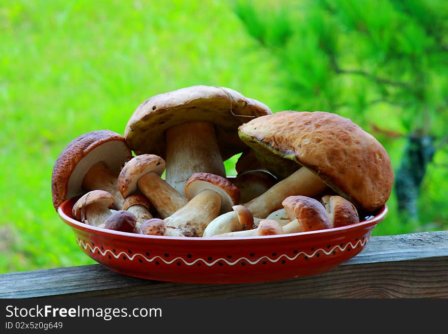 Delicatessen russian white mushrooms on the dish