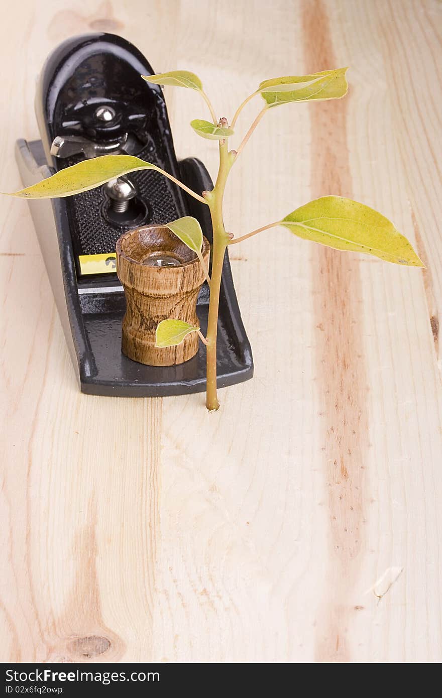 Handplane destroying a young tree growing out of a piece of wood. Handplane destroying a young tree growing out of a piece of wood.