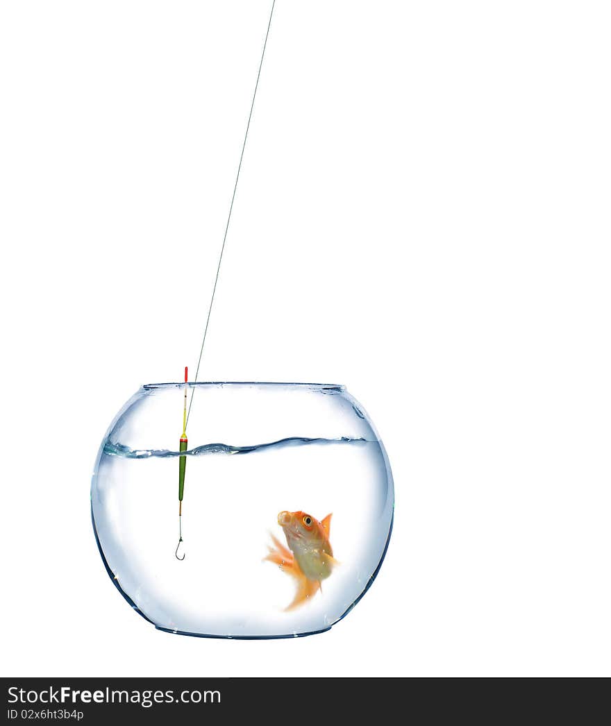 Gold Fish And Empty Hook