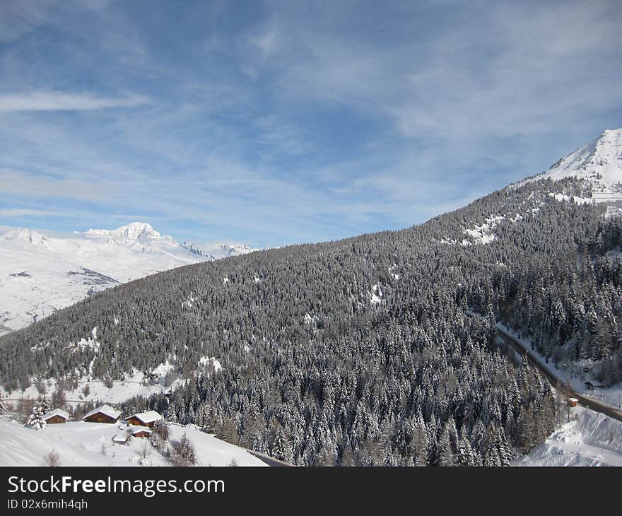 Forest mountain