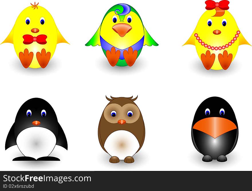 Several species of birds. Vector image.