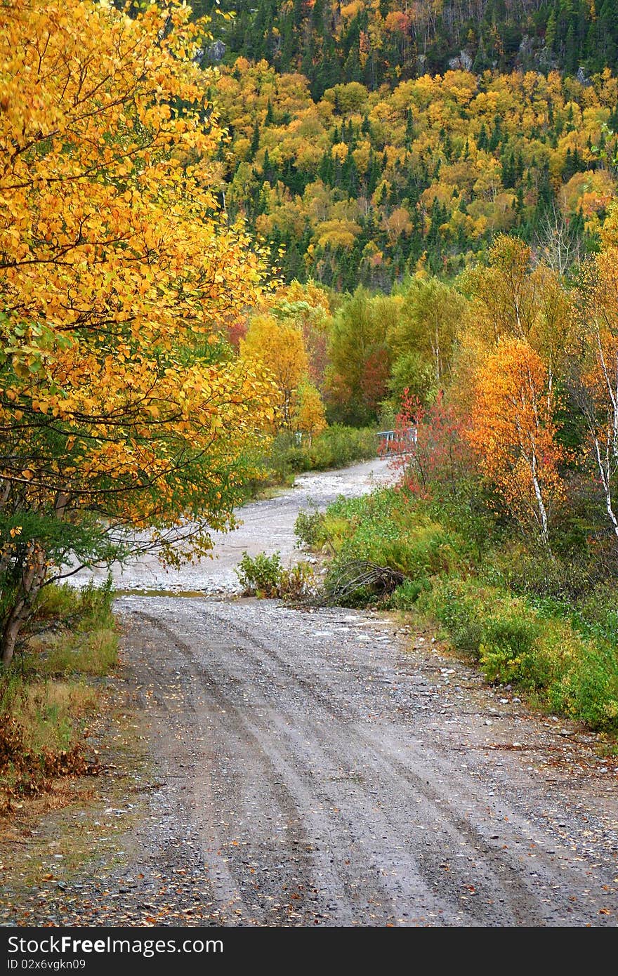 Dirt country road in Autumn