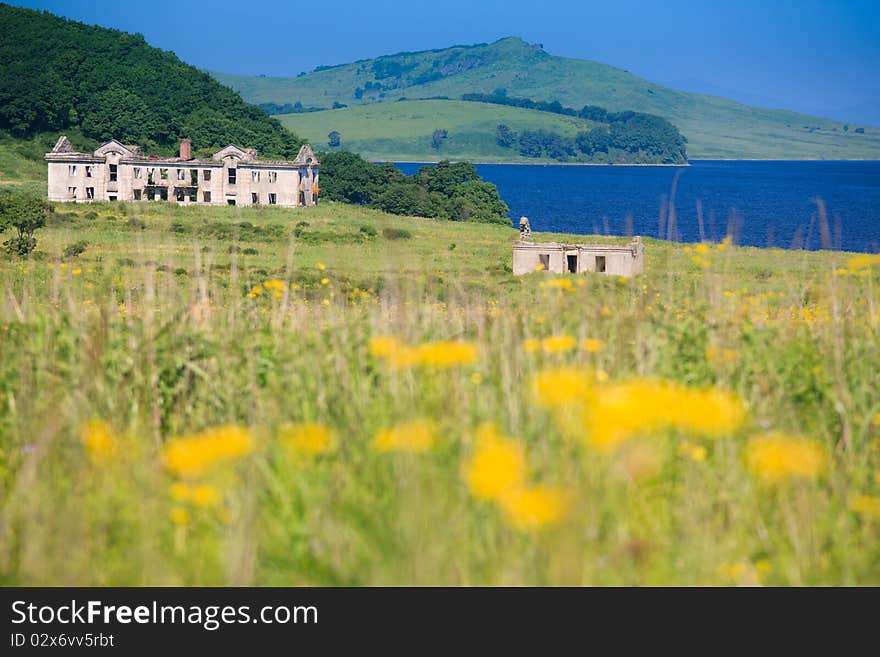 Ruins In The Yellow Flowers On A Background Of Sea