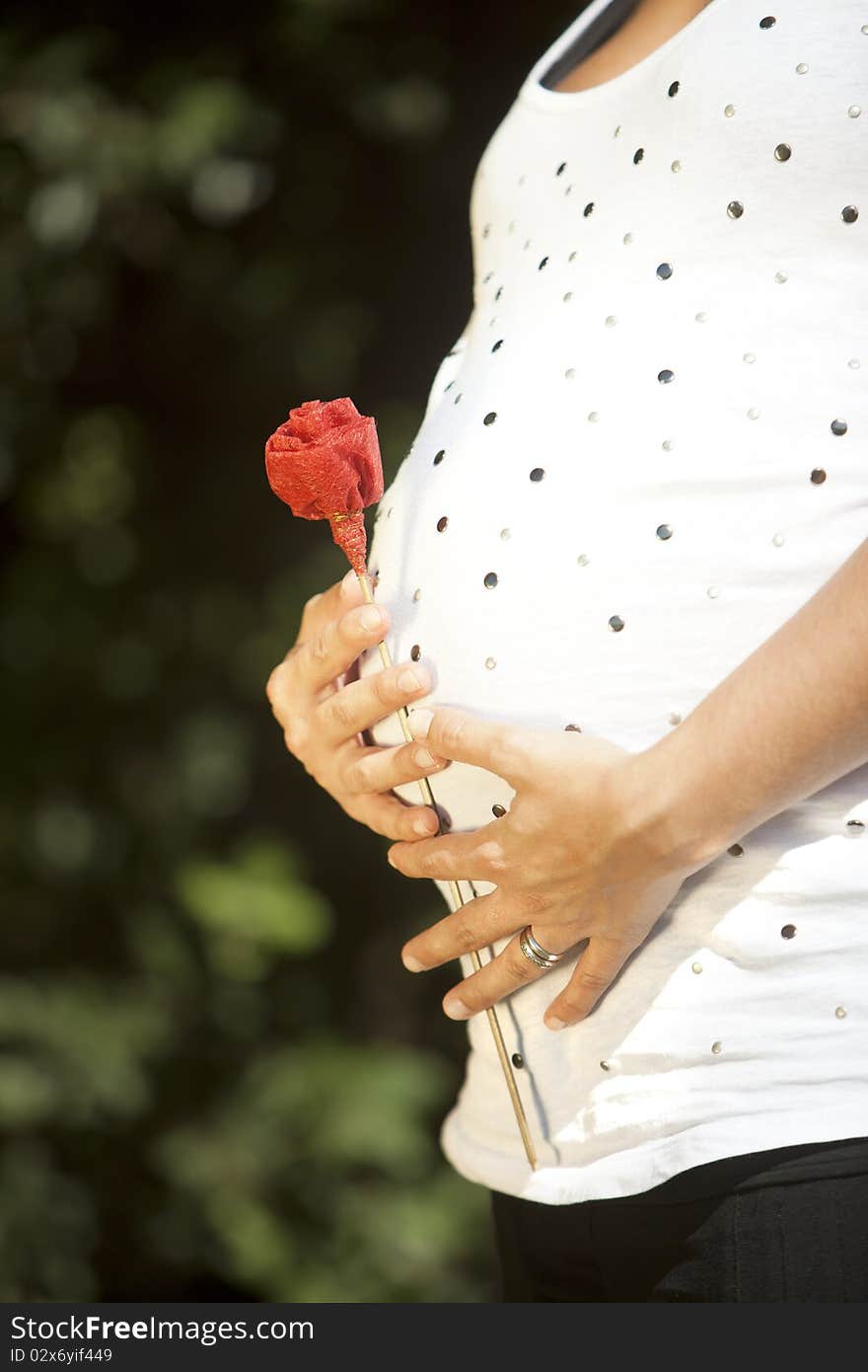 Pregnant Mother Holding A Flower