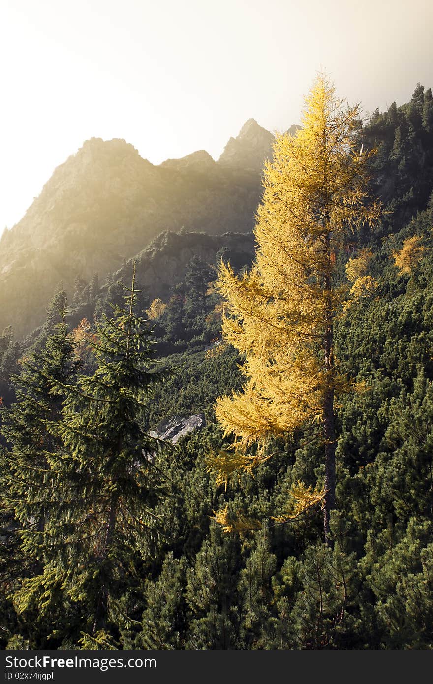 High Tatra in autumn scene, Slovakia